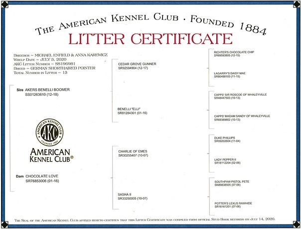 2020 litter certificate